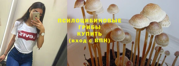 эйфоретик Верея