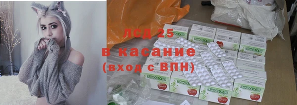 прущие грибы Верхнеуральск