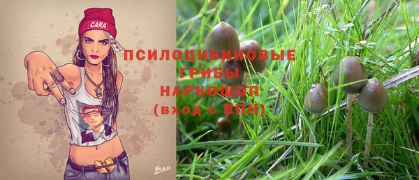 эйфоретик Верея