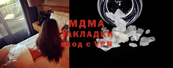 ГАЛЛЮЦИНОГЕННЫЕ ГРИБЫ Бородино