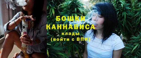 бошки Бронницы
