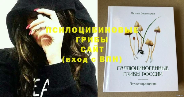 прущие грибы Верхнеуральск