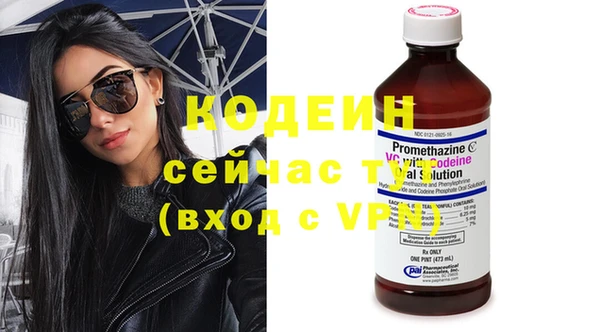 ГАЛЛЮЦИНОГЕННЫЕ ГРИБЫ Бородино