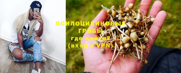 эйфоретик Верея