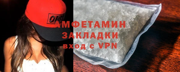ГАЛЛЮЦИНОГЕННЫЕ ГРИБЫ Бородино