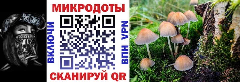 Псилоцибиновые грибы GOLDEN TEACHER  Купить  Алексин 